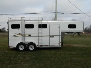 3 Horse Slant with Painted Aluminiun